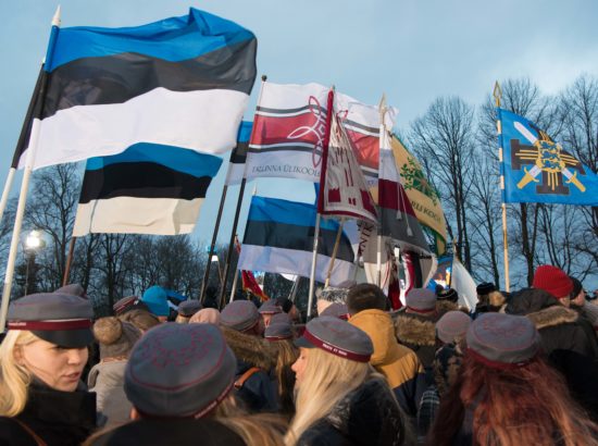 Eesti Vabariigi 99. aastapäeva tähistamine